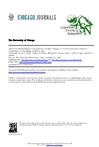 Variable Changes in Cranial Structures Underlie Transitions to Durophagy in Moray Eels