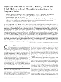 Expression of Surfactant Protein-C, S100A8, S100A9, and B Cell Markers in Renal Allografts: Investigation of the Prognostic Value