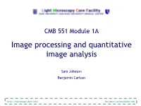 Image Analysis