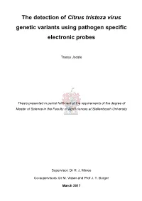 The Detection of Citrus Tristeza Virus Genetic Variants Using Pathogen Specific Electronic Probes