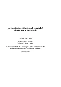 An Investigation of the Stem Cell Potential of Skeletal Muscle Satellite Cells