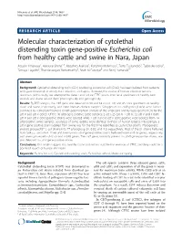 Molecular Characterization of Cytolethal