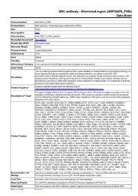 SRC Antibody - N-Terminal Region (ARP32476 P050) Data Sheet