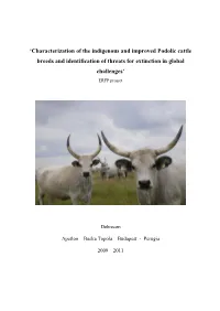'Characterization of the Indigenous and Improved Podolic Cattle Breeds