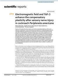 Electromagnetic Field and TGF-Β Enhance the Compensatory