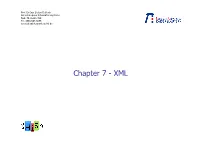 Chapter 7 XML.Pptx