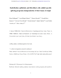 Endothelial, Epithelial, and Fibroblast Cells Exhibit Specific Splicing Programs Independently of Their Tissue of Origin