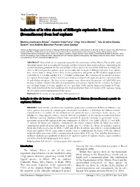 Induction of in Vitro Shoots of Billbergia Euphemiae E. Morren (Bromeliaceae) from Leaf Explants