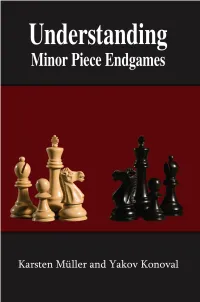 Understanding Minor Piece Endgames