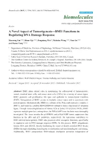 A Novel Aspect of Tumorigenesis—BMI1 Functions in Regulating DNA Damage Response