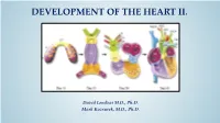 Development of Right Ventricle