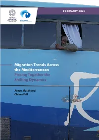 Migration Trends Across the Mediterranean Piecing Together the Shifting Dynamics