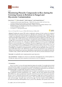 Monitoring Phenolic Compounds in Rice During the Growing Season in Relation to Fungal and Mycotoxin Contamination