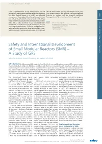 Safety and International Development of Small Modular Reactors