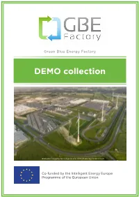 DEMO Collection