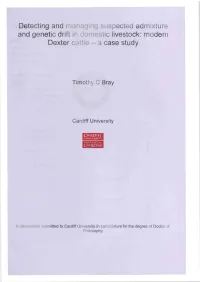 Detecting and Managing Suspected Admixture and Genetic Drift in Domestic Livestock: Modern Dexter Cattle - a Case Study