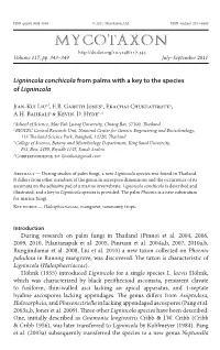 &lt;I&gt;Lignincola Conchicola&lt;/I&gt; from Palms with a Key to the Species Of