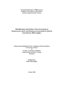 Identification and Further Characterization of Streptococcus Uberis and Streptococcus Parauberis Isolated from Bovine Milk Samples
