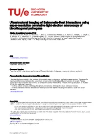 Ultrastructural Imaging of Salmonella–Host Interactions Using Super‐Resolution Correlative Light‐Electron Microscopy of Bi