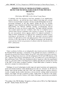 Perspectives of Micro-Pattern Gaseous Detector Technologies for Future