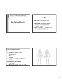 The Skeletal System