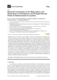 Bacterial Communities in the Rhizosphere and Phyllosphere of Halophytes and Drought-Tolerant Plants in Mediterranean Ecosystems