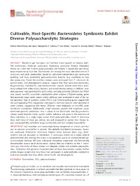 Cultivable, Host-Specific Bacteroidetes Symbionts Exhibit Diverse Polysaccharolytic Strategies