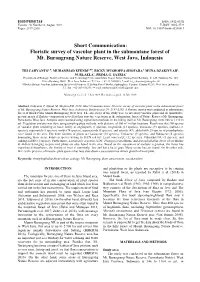 Floristic Survey of Vascular Plant in the Submontane Forest of Mt