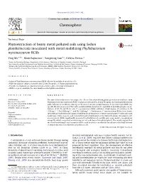 Phytoextraction of Heavy Metal Polluted Soils Using Sedum