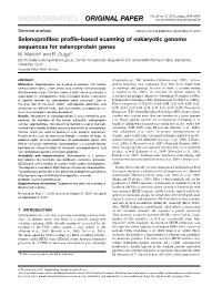 Profile-Based Scanning of Eukaryotic Genome Sequences For