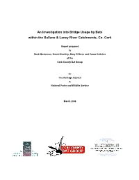 An Investigation Into Bridge Usage by Bats Within the Sullane & Laney