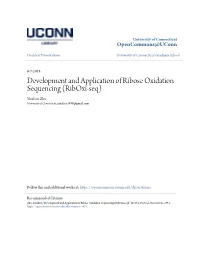 Development and Application of Ribose Oxidation Sequencing (Riboxi-Seq) Yinzhou Zhu University of Connecticut, Yinzhou1989@Gmail.Com