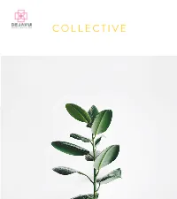 DHE COLLECTIVE BROCHURE.Pdf