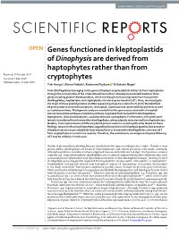 Genes Functioned in Kleptoplastids of Dinophysis Are Derived From