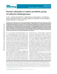 Purinyl-Cobamide Is a Native Prosthetic Group of Reductive