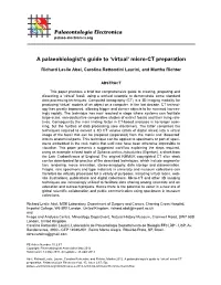 A Palaeobiologist's Guide to 'Virtual' Micro-CT Preparation