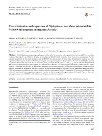 Characterization and Expression of Xiphophorus Maculatus Microsatellite Msb069 Full Sequence in Subgenus Poecilia