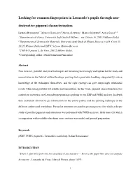 Destructive Pigment Characterization