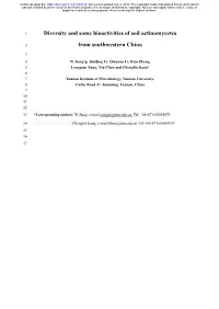 Diversity and Some Bioactivities of Soil Actinomycetes from Southwestern