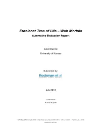 Euteleost Tree of Life – Web Module Summative Evaluation Report