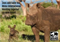 Working Together to Save Rhinos