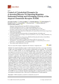 Control of Cytoskeletal Dynamics by Β-Arrestin1/Myosin Vb Signaling Regulates Endosomal Sorting and Scavenging Activity of the Atypical Chemokine Receptor ACKR2
