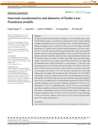 Internode Morphometrics and Allometry of Tonkin Cane Pseudosasa Amabilis