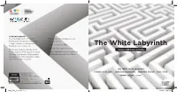 The White Labyrinth Cover Art from Shutterstock.Com