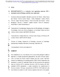 1 TITLE 1 2 ISG15/USP18/STAT2 Is a Molecular Hub Regulating Autocrine