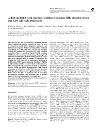A-Raf and Raf-1 Work Together to Influence Transient ERK Phosphorylation and Gl/S Cell Cycle Progression