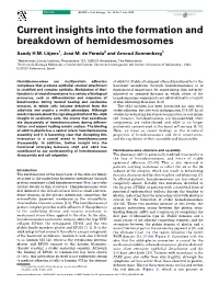 Current Insights Into the Formation and Breakdown of Hemidesmosomes
