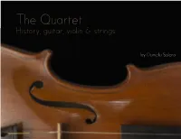 History, Guitar, Violin & Strings