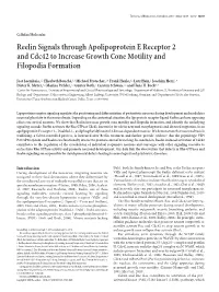 Reelin Signals Through Apolipoprotein E Receptor 2 and Cdc42 to Increase Growth Cone Motility and Filopodia Formation