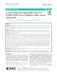 A Novel Long Non-Coding RNA from the HOXA6-HOXA5 Locus Facilitates